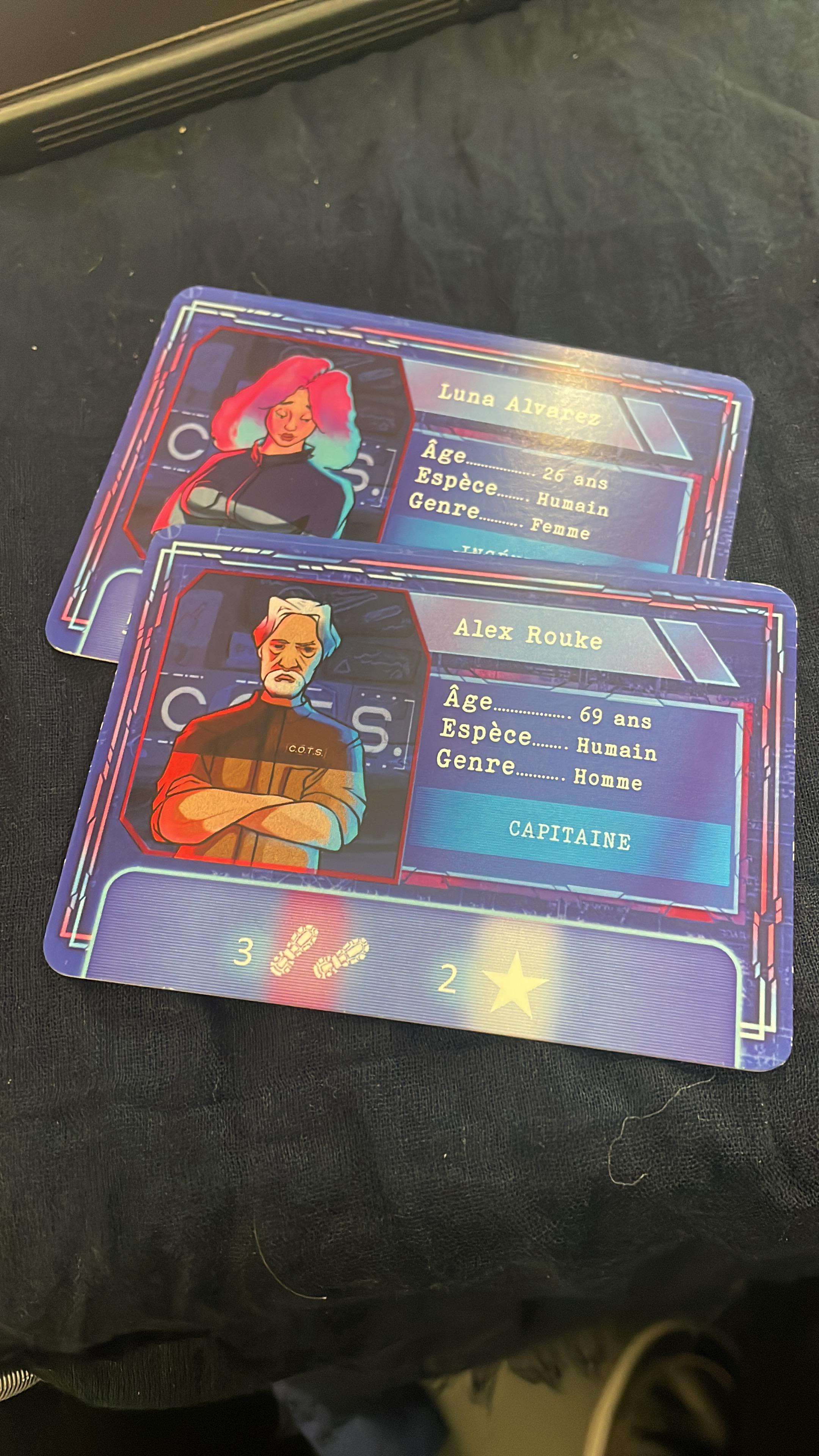 Section 3 — ruelles